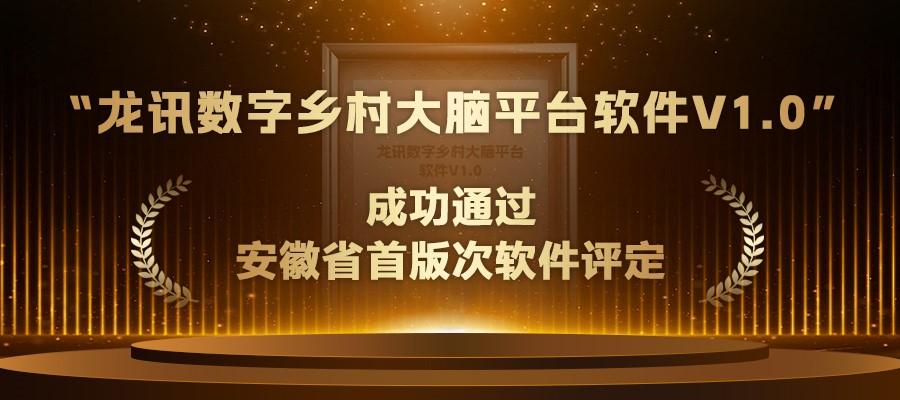 “龍訊數字鄉村大腦平臺軟件V1.0”成功通過安徽省首版次軟件評定